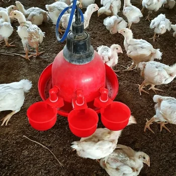 6vnt/Komplektas Automatinis naminių paukščių gėrimo dubuo Oultry Ūkio vandens gėrimo puodeliai Lengvas montavimas Automatinis paukštienos vandens dubuo