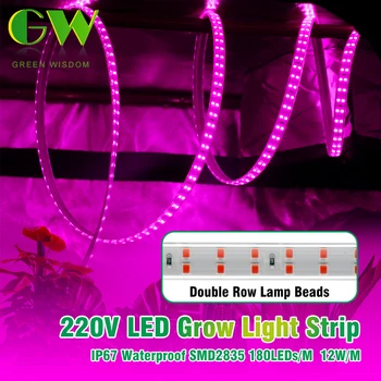 AC220V LED auga šviesa viso spektro 180LEDs / m 12W / m Grow Light Strip Doubel Row lempos karoliukai LED fito lempa su ES kištuku