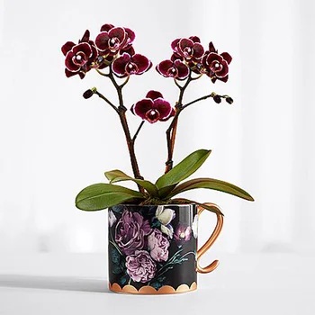 Europos kūrybinė keraminė vaza džiovintų gėlių kompozicija Daugiafunkciniai puodelio stalviršio vazos namų dekoravimas