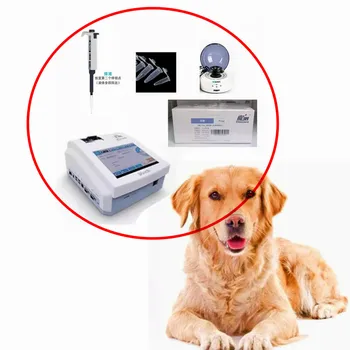 Gyvūnų šuo Wondfo Finecare 2 Plus nešiojamas chemijos analizatorius + kraujo centrifuga + pipetė + progesterono testų rinkinys