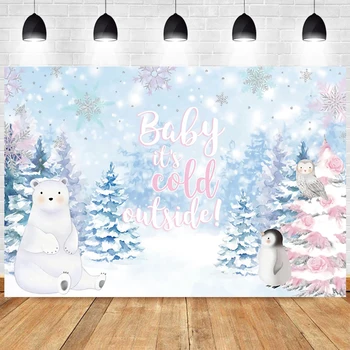 Oh Baby Its Cold Outside Backgrounds Baby Shower Party Decor Snowflake Snowy Pink Winter Wonderland Photography Background Props