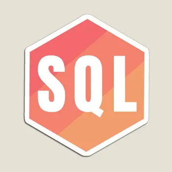 Retro SQL kalbos magnetas Pagrindinis spalvingas magnetinis laikiklis Vaikai šaldytuvo organizatoriui Mielas šaldytuvas Vaikų lipdukai Juokingi