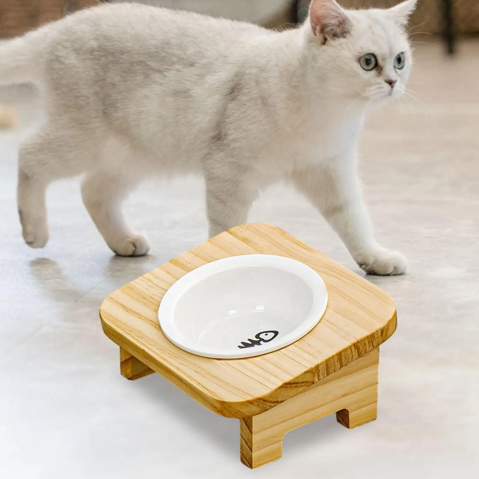 Raised Cat Bowl Water Dish Lengvas 15° pakreiptas mediniu stovu Naminių gyvūnėlių dubenys šuniukui Kačiukas Maži vidutiniai šunys neslystantys Neišsilieja Nuotrauka 2