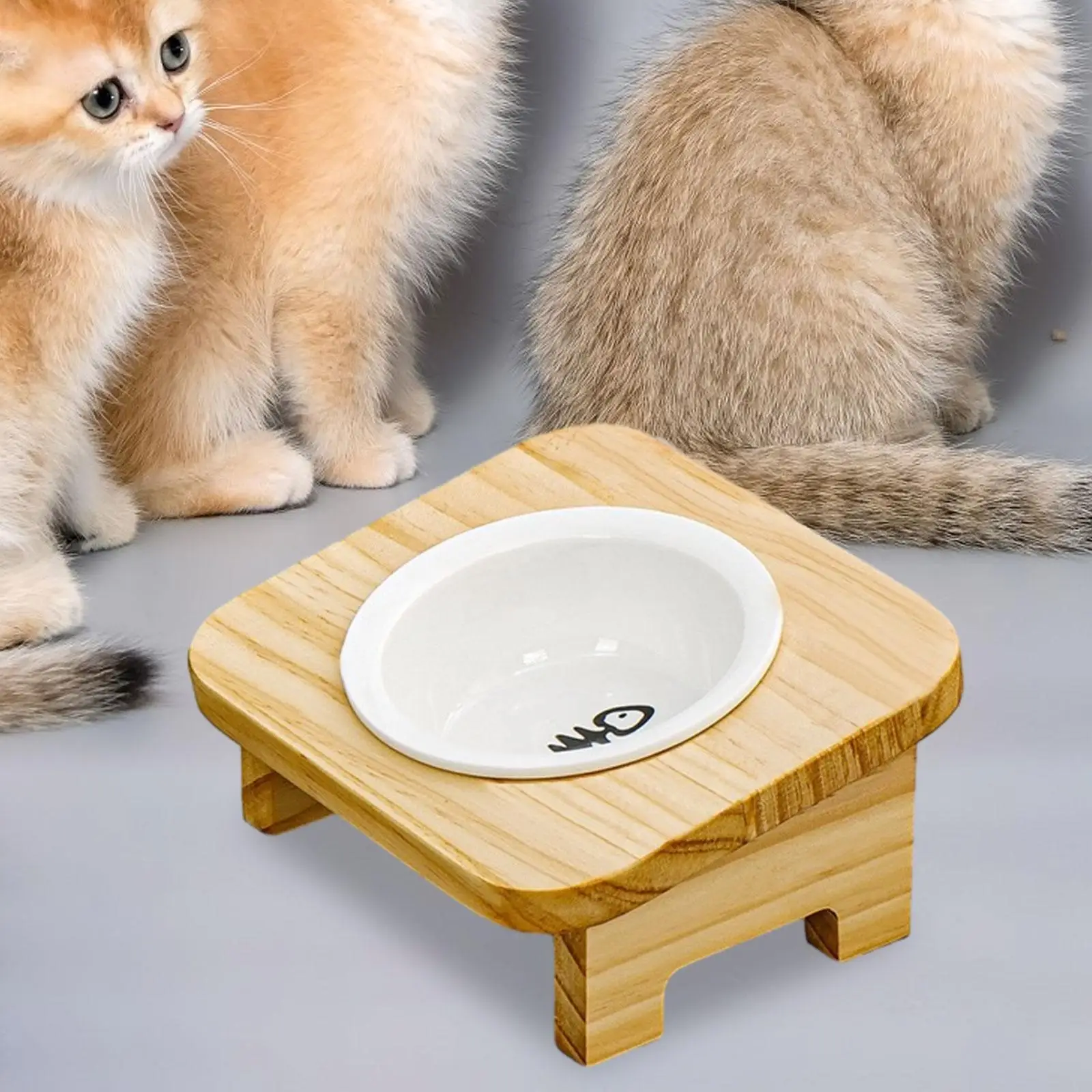 Raised Cat Bowl Water Dish Lengvas 15° pakreiptas mediniu stovu Naminių gyvūnėlių dubenys šuniukui Kačiukas Maži vidutiniai šunys neslystantys Neišsilieja Nuotrauka 3