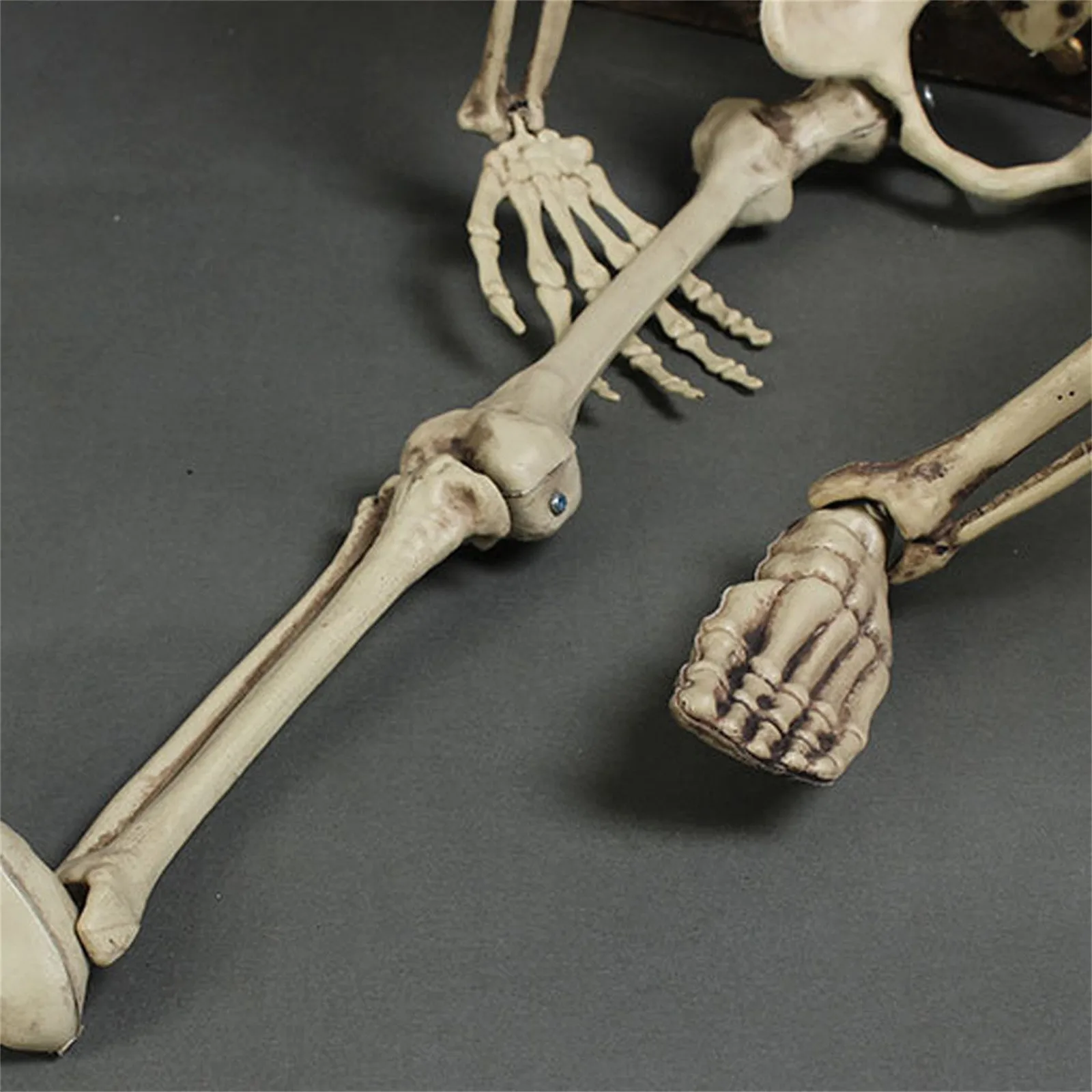 Žmogaus skeleto dekoravimas Helovino vakarėlis Rekvizito dekoravimo rekvizitai Simuliacija Skeleto galvos ranka Kaulų kaukolė Helovino vakarėlio dekoras Nuotrauka 2