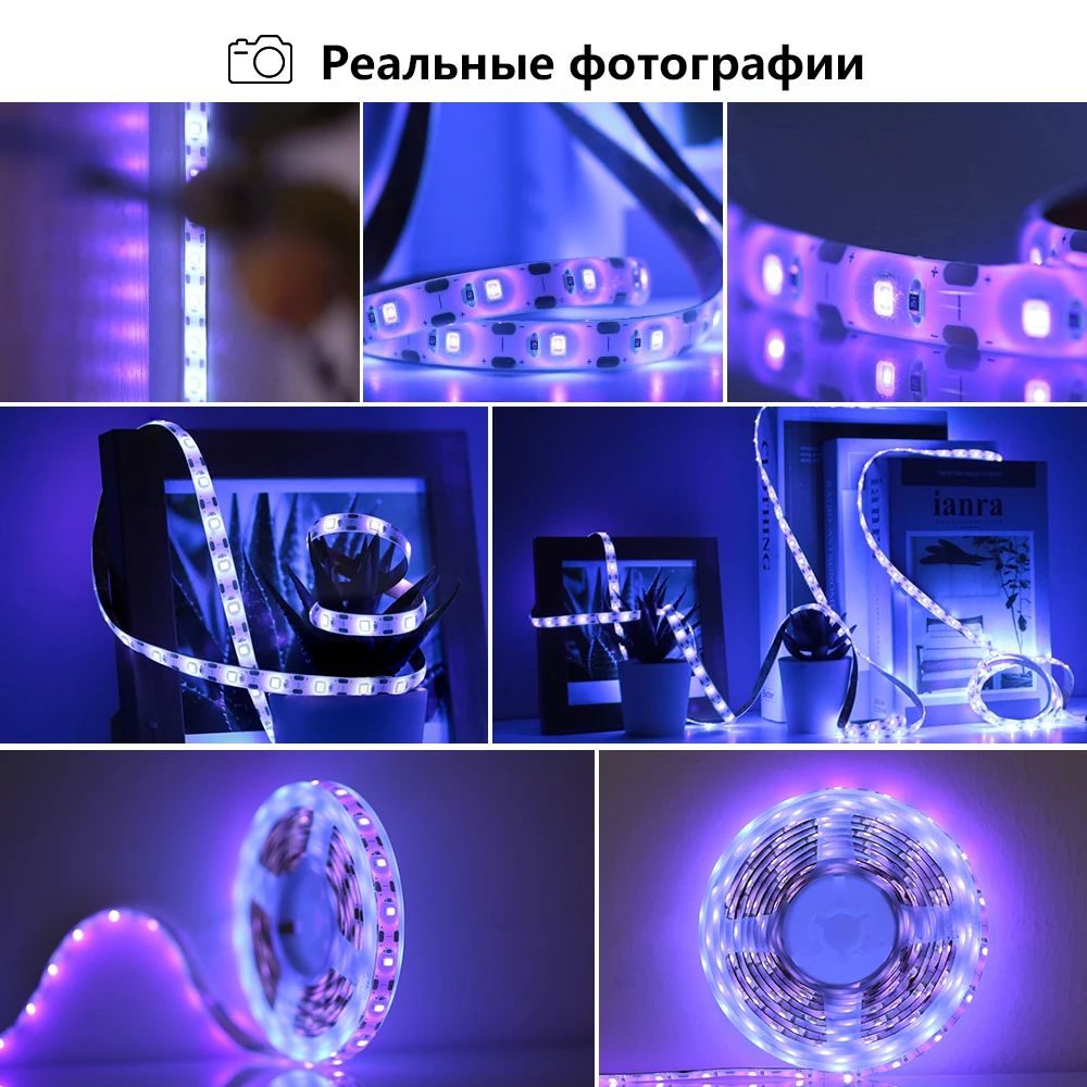 UV LED juostinė šviesa SMD 2835 vandeniui atsparus IP66 lauko ultravioletinių spindulių diodų juostelė Lanksti neoninė lempa DJ fluorescenciniam apšvietimui Nuotrauka 3