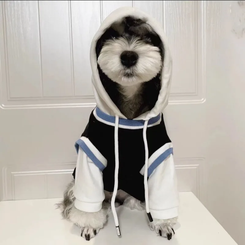 Fashion Hoodie Pet Dog Drabužiai Medvilniniai drabužiai Šunys Super mažas Mielas Čihuahua Spausdinti Ruduo Žiema Šiltas Juodas Berniukas Talismanas Nuotrauka 5