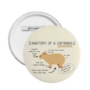 Anatomija A Capybara Soft Button Pin Custom Novelty Pinback Badges Saches Boyfriend Gift